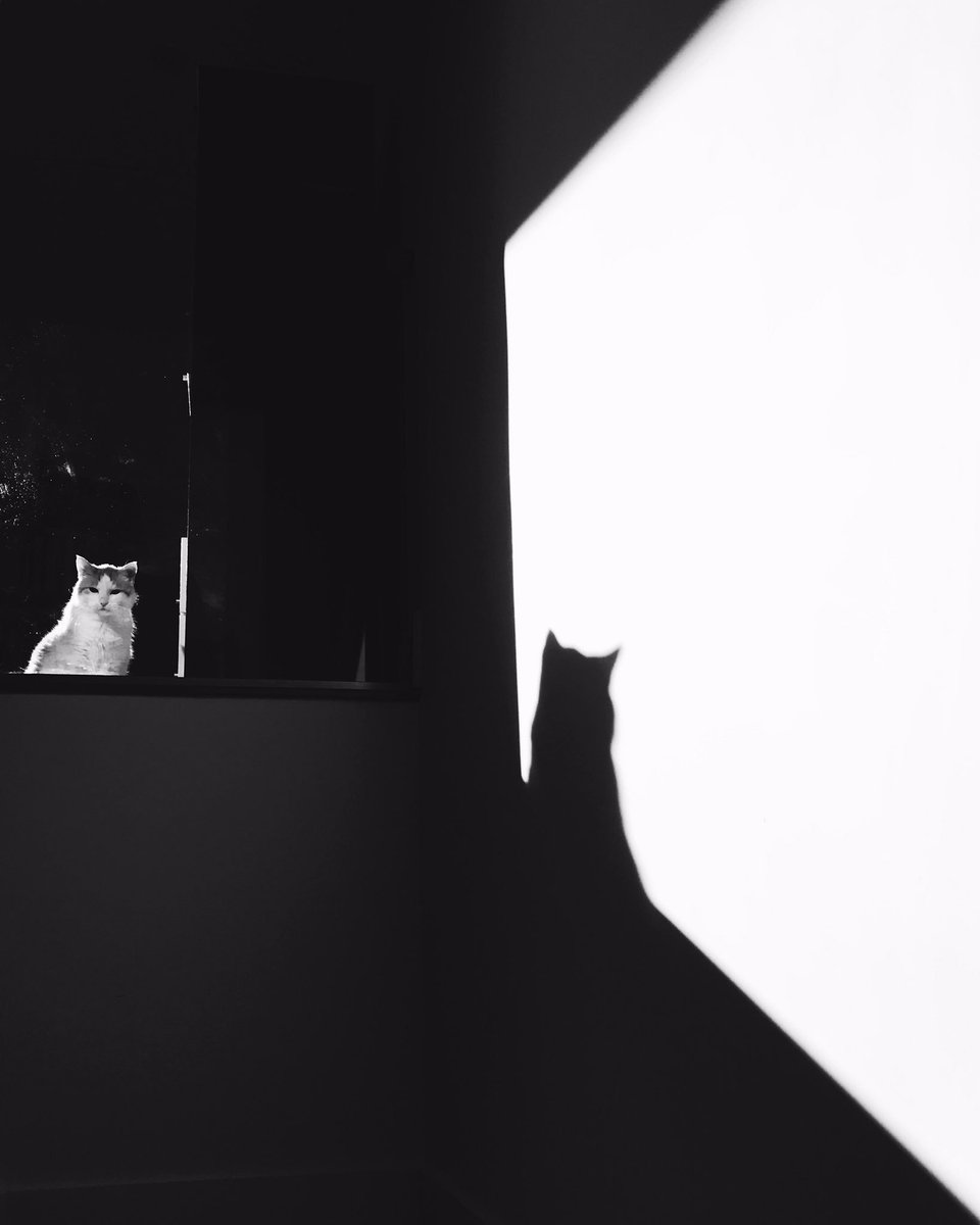 VanessaHeins's tweet photo. NA NA NA NA NA NA NA NA NA NA NA NA NA NA CATMAN!!! https://t.co/EXbup4AedO