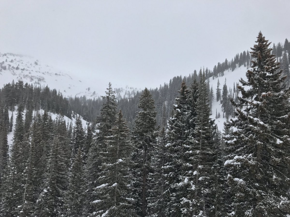 EricYezzi's tweet photo. Utah is incredible https://t.co/ySmEnFIhjd