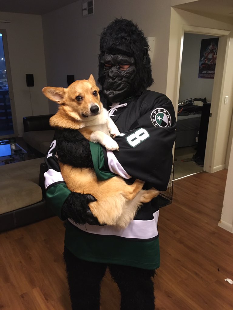 RingThatBeall's tweet photo. @RingThatBeall Even Corgin is ready! #RingThatGrodd https://t.co/OmTlUQFT3l