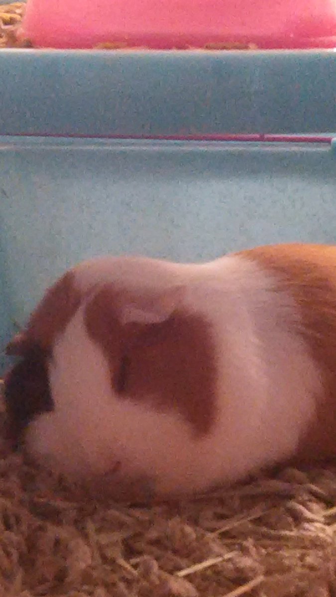 jseboss3's tweet photo. SSSSHHH SHES SLEEEEEPING https://t.co/GaDK0cFhTN