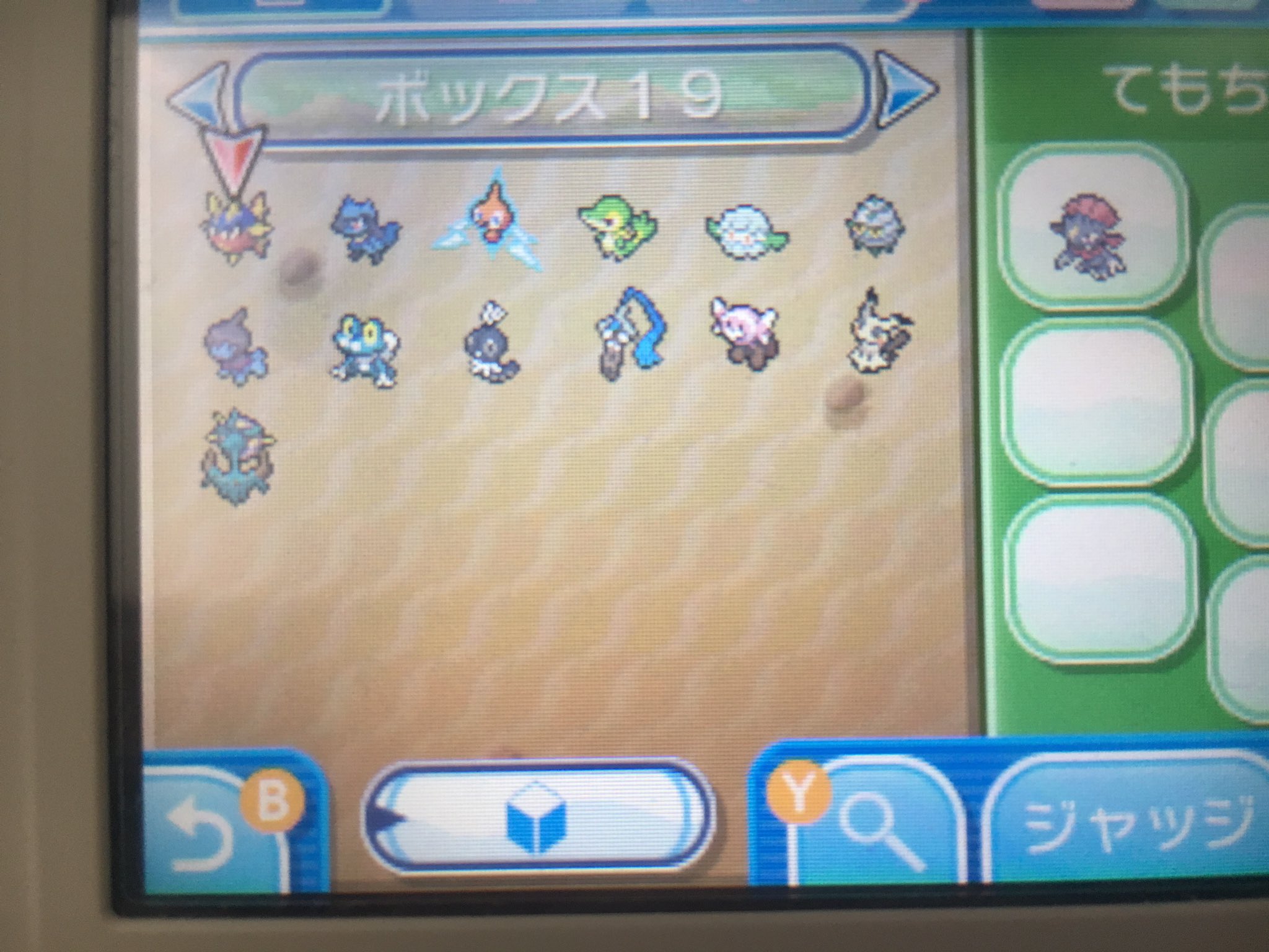らんど ポケモンサン No Twitter 求 理想わんぱくカバルドン ふきとばしステロ 理想いじっぱりマリルリ はたきアクジェ Orasxyなら なしでもok 出 画像の伝説 孵化あまりor一部オシャボ アイテム等提案質問どぞ ポケモン交換 サンムーン Oras T Co
