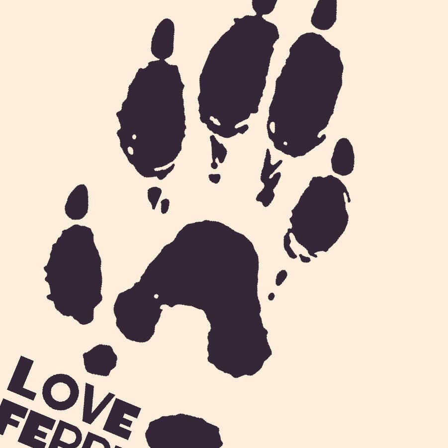 スミス Warming Up Sur Twitter 犬さん猫さんは 指的な肉球が4ぷに フェレットさんは 指的な肉球は5ぷに 小さな違いだけどお絵描きの時のポイントになりますぷに ノ ゚ ゚ ヾ いたちっち フェレットイラストワークショップ受付中 T Co Vqeltbcnvb スミス Warming Up Sur Twitter 犬さん猫さんは 指的な肉球が4ぷに フェレットさんは 指的な肉球は5ぷに 小さな違いだけどお絵描きの時のポイントになりますぷに ノ ゚ ゚ ヾ いたちっち フェレットイラストワークショップ受付中 T Co Vqeltbcnvb