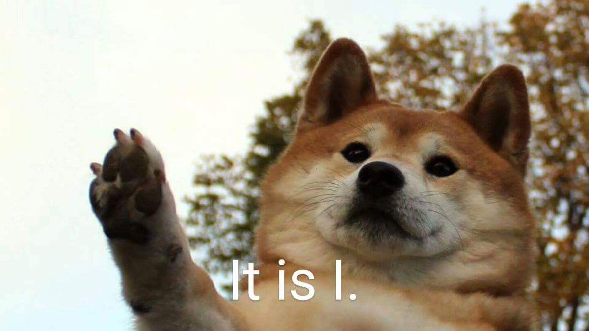 httpbitchin's tweet image. 