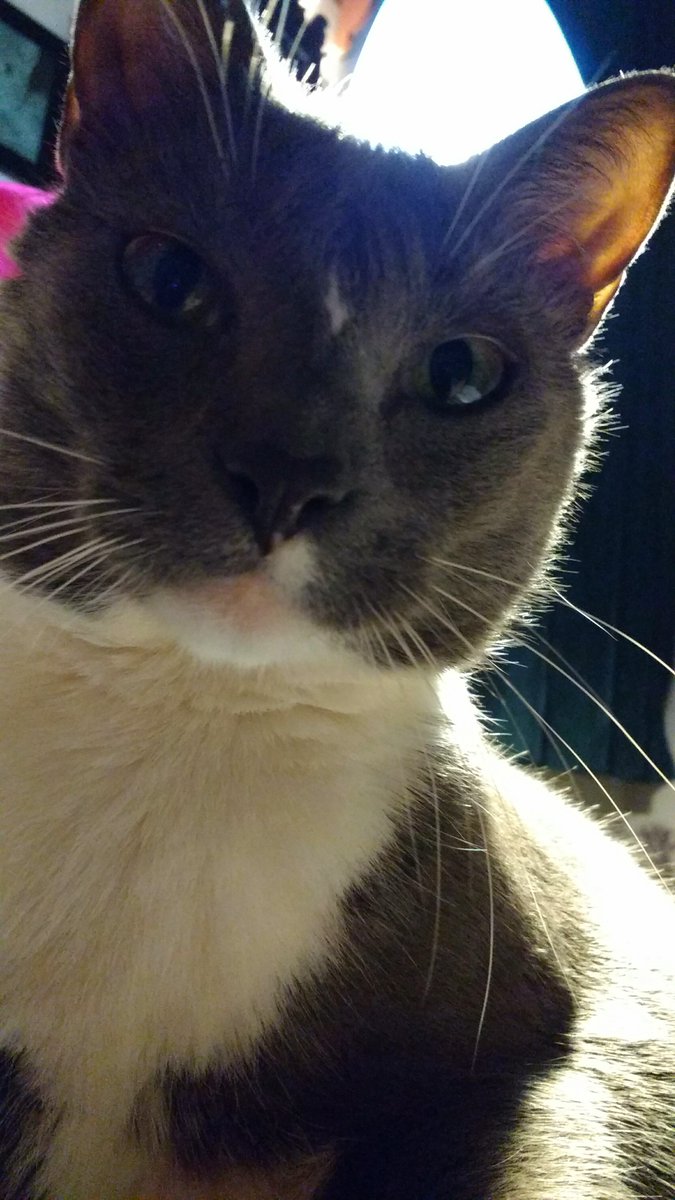 luvopieco's tweet photo. I fall in love a lil more every day <3 #mysweetface #fureverlove #mybaby #proudMommy https://t.co/2kuYtW9Lsp