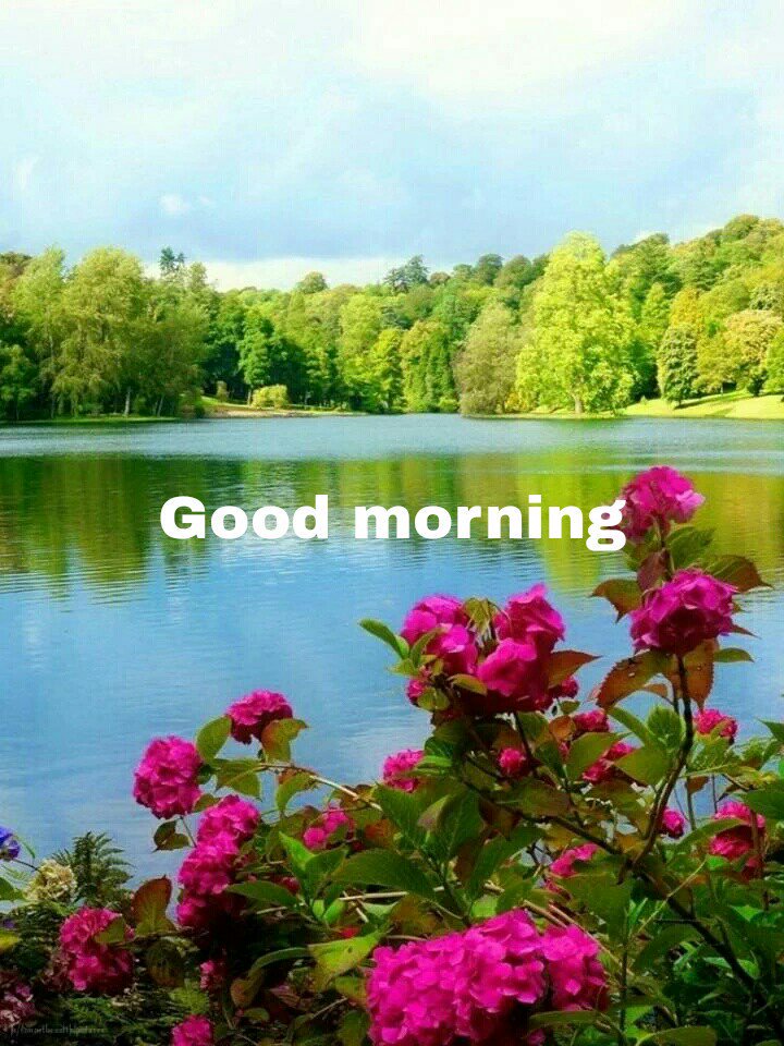 good morning friends have a nice day