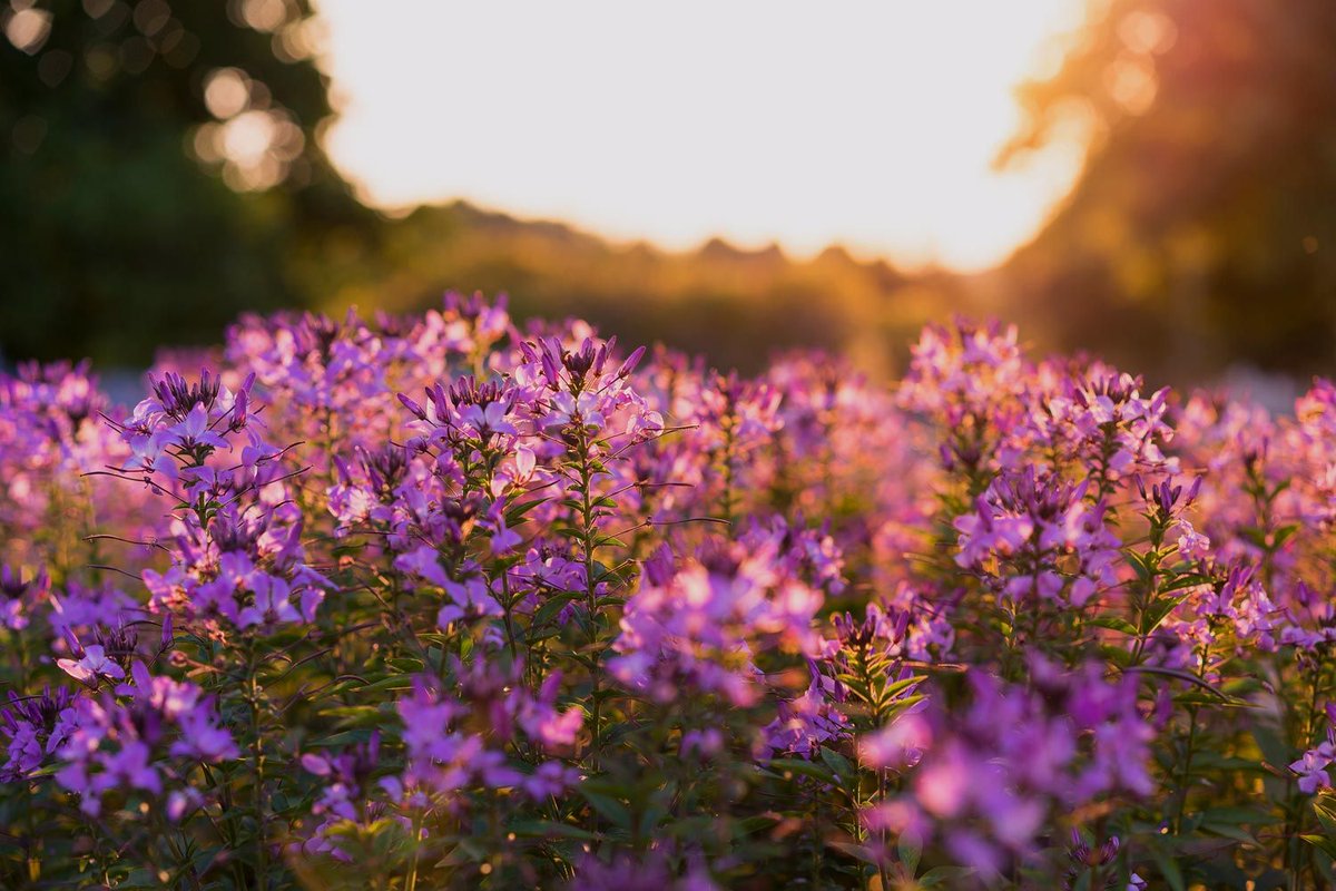 Seattle_School's tweet photo. "The dreams in my heart are things I know in my spirit I am called to, yet I have no idea how I will land." https://t.co/SKbq2XqvAJ #TSSBlog https://t.co/qRWvNkEebK