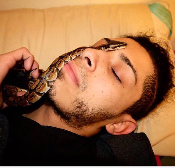 JJ11790's tweet photo. Yull be miss Cleopatra 😓only memories left🐍 https://t.co/zhEz5oWjwS