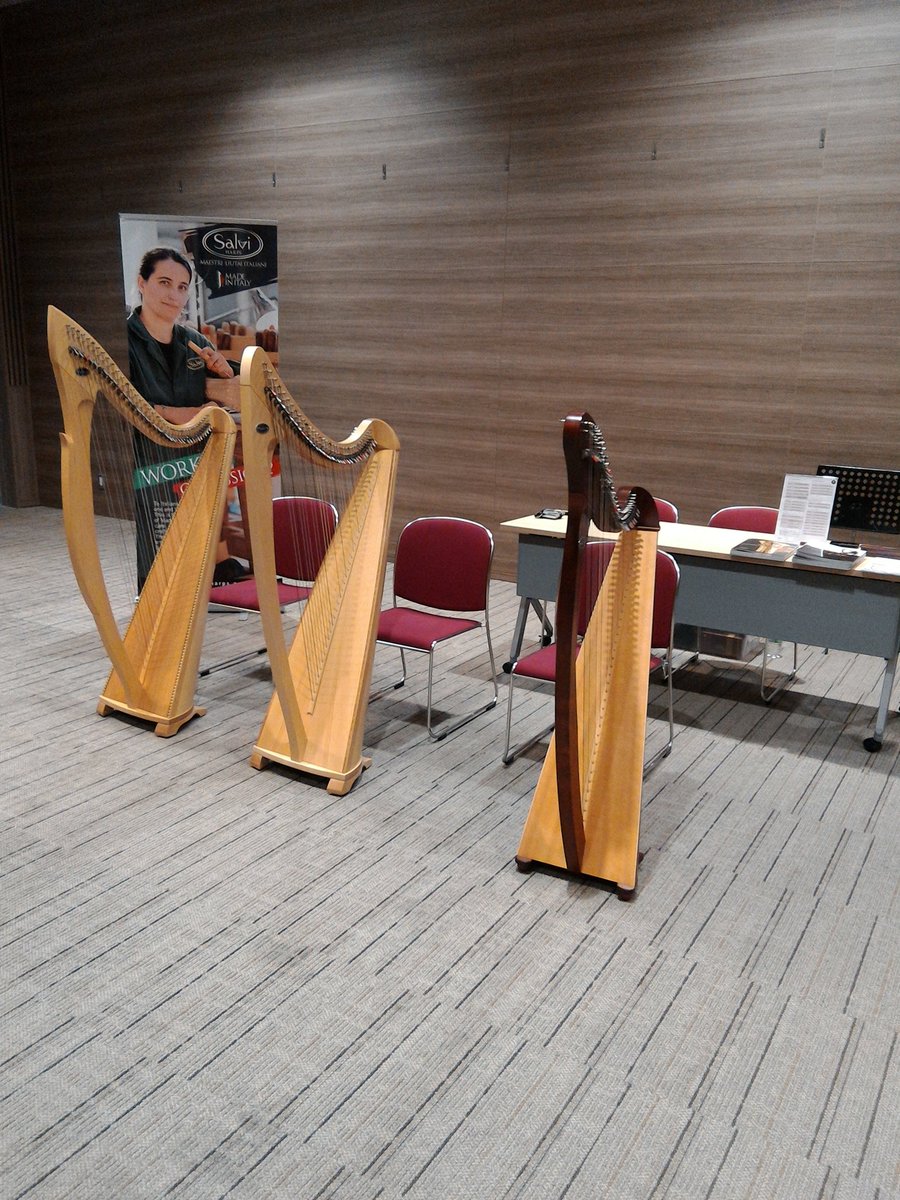 Salvi Harps 日本総代理店 (@salviharpsjp) / X Salvi Harps 日本総代理店 (@salviharpsjp) / X
