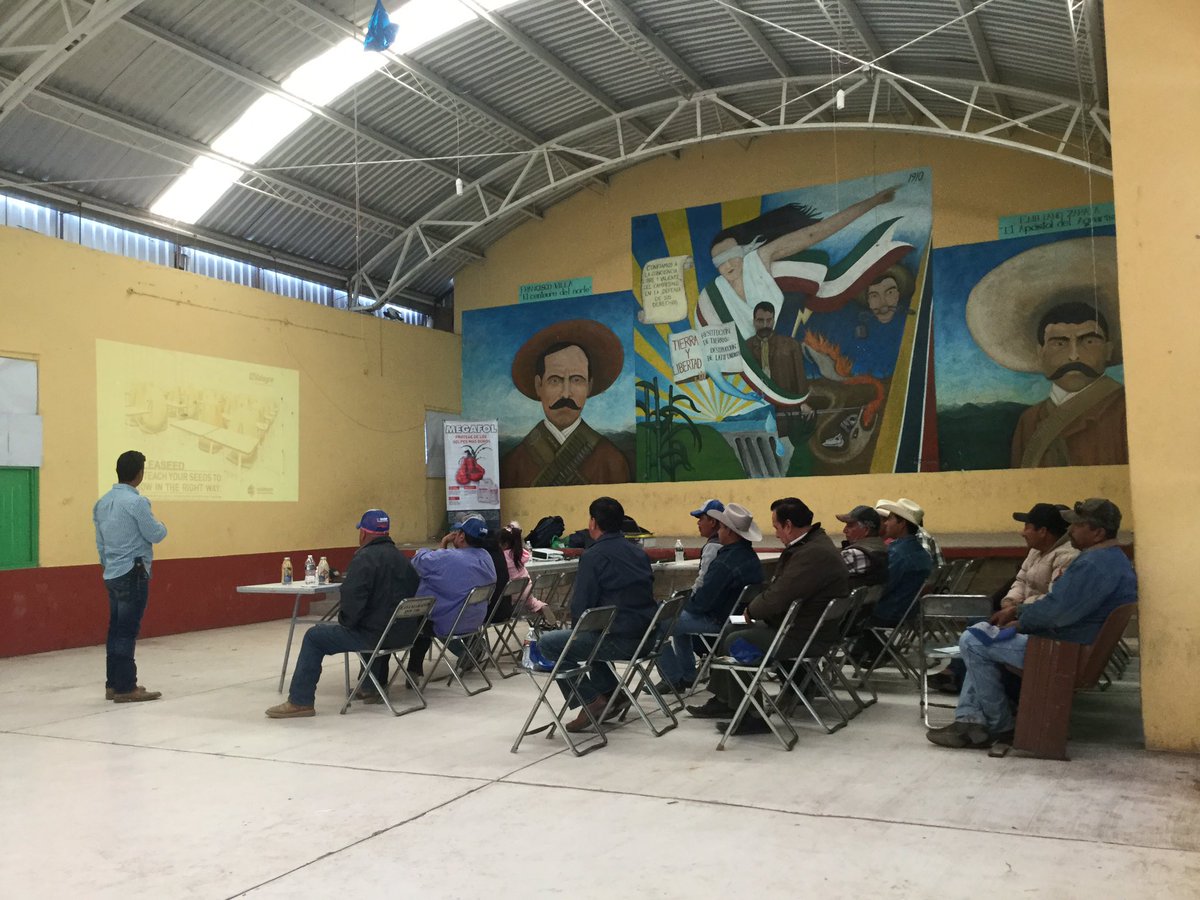 EdgarPeSe's tweet photo. #Durango con programa de #Bioestimulación #Maíz con nuestro #distributor #AgropecuariaPuebloBonito #Megafol #Brexil by @cesarintc 🌽🌽🌽🇲🇽👨🏼‍🌾 https://t.co/Qnl12ZLE7q
