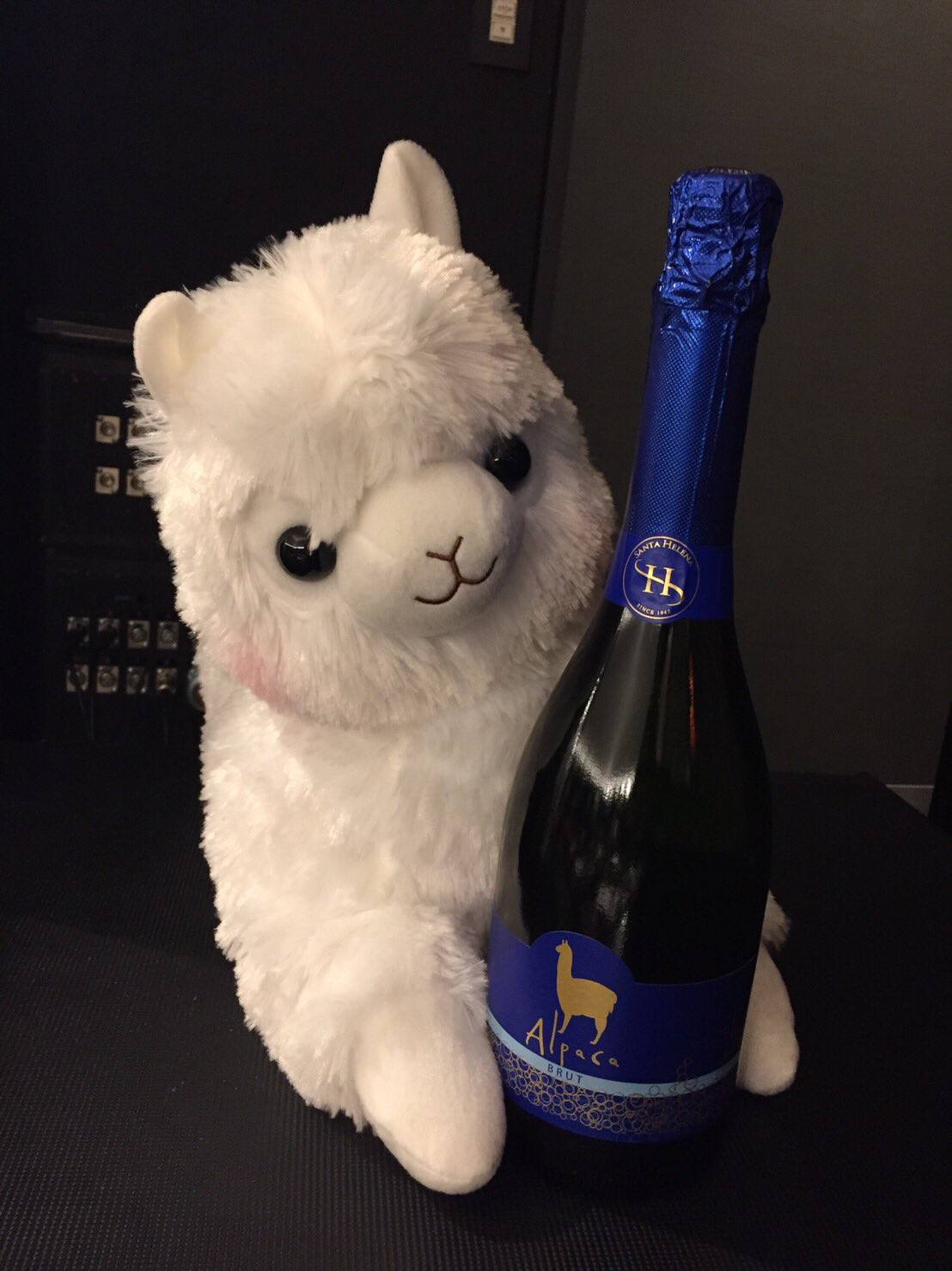 桜咲千依 マネージャーの写真のセンス神がかってる チヨパカパーク