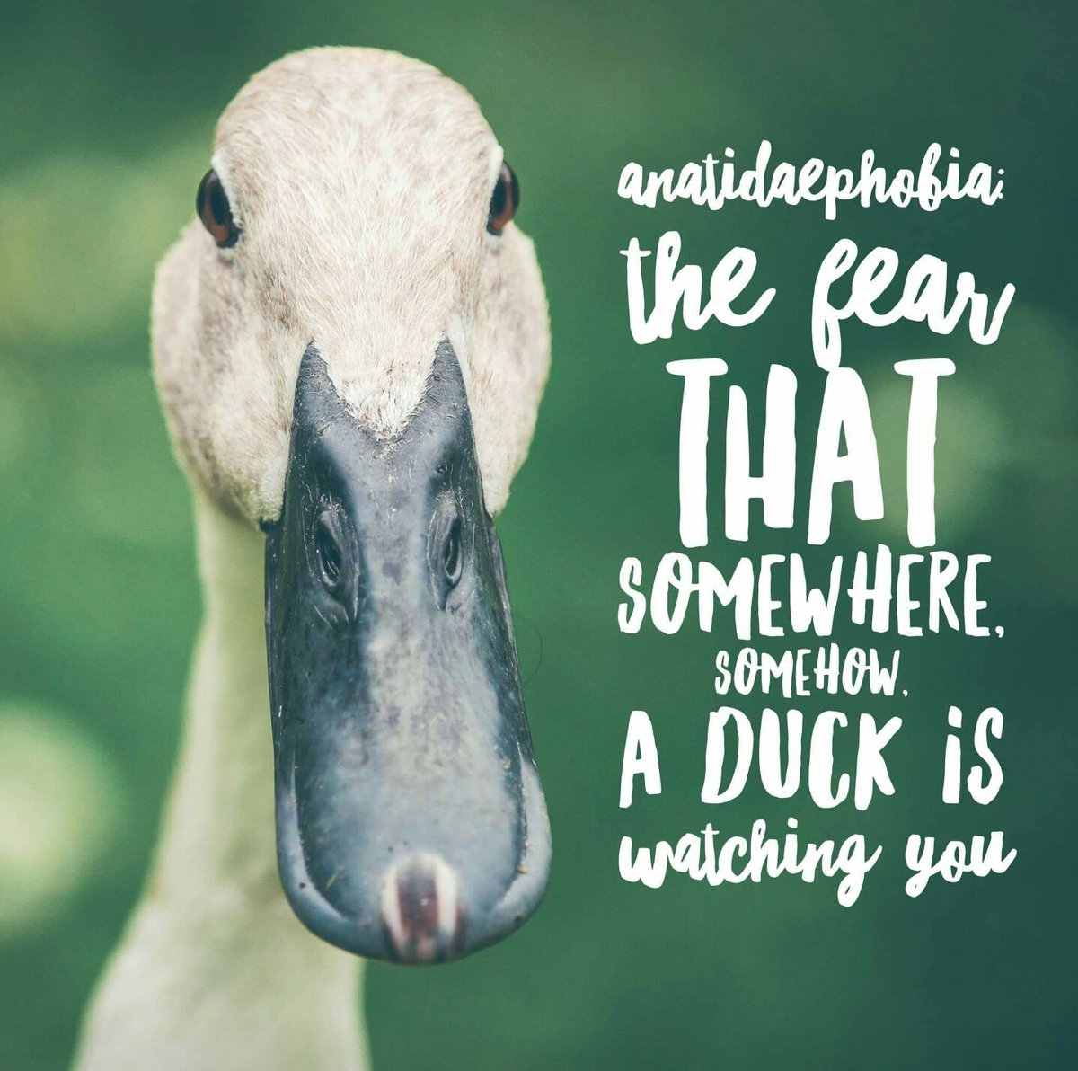 Name cannot be blank tweet media