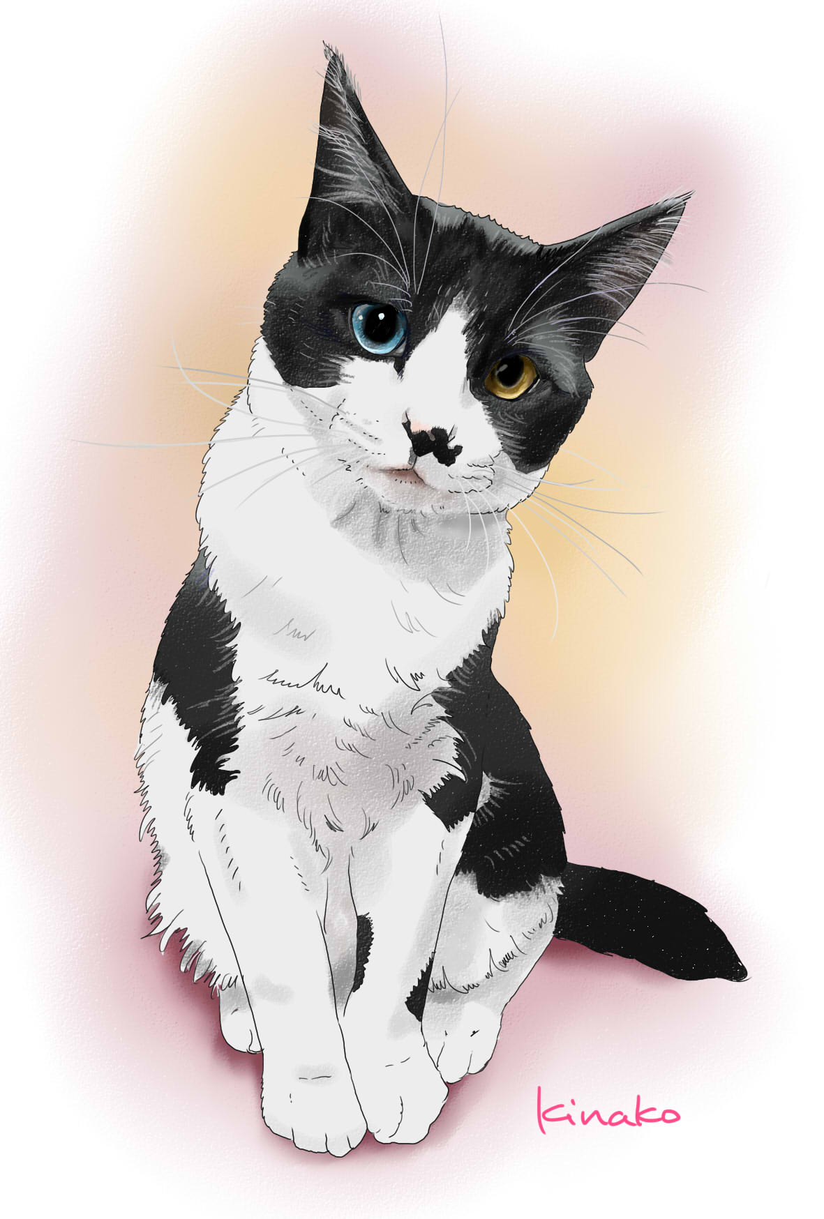 きなこ 猫の絵を描いています 鈴猫さんの白黒ハチワレの子猫のハチちゃん イラストで描かせていただきました 体を傾げて何か話しかけてくるようなポーズがなんてかわいいのでしょう 目がオッドアイなんでしょうか ブルーと琥珀色の