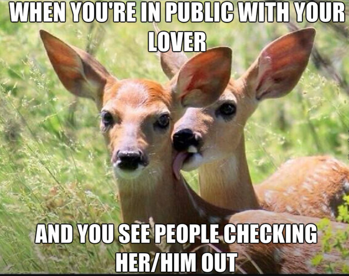 backroadsgal78's tweet image. Hahaha I know people who would probably do this  #backoff #deerlick #mydoe