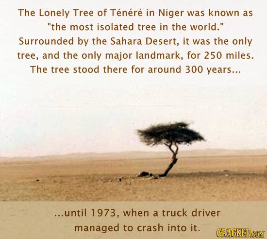 The 17 Most Hilarious True Stories Left Out of History Class - bit.ly/CrackedTrueSto…