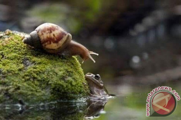 Wow! Fotografer Asal Seruyan Ikuti Pameran Foto Tingkat Dunia Di Rusia antarakalteng.com/berita/262483/… #Seruyan <a href="/Makro_SA/">Makro South Africa</a> <a href="/fotomac/">Fotomaç</a>