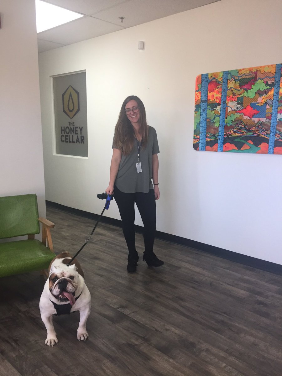 HoneyCellar's tweet photo. Hanging with Wilbur on a glorious Shatterday 🐶👌🍯 https://t.co/6o1ChoeKbN