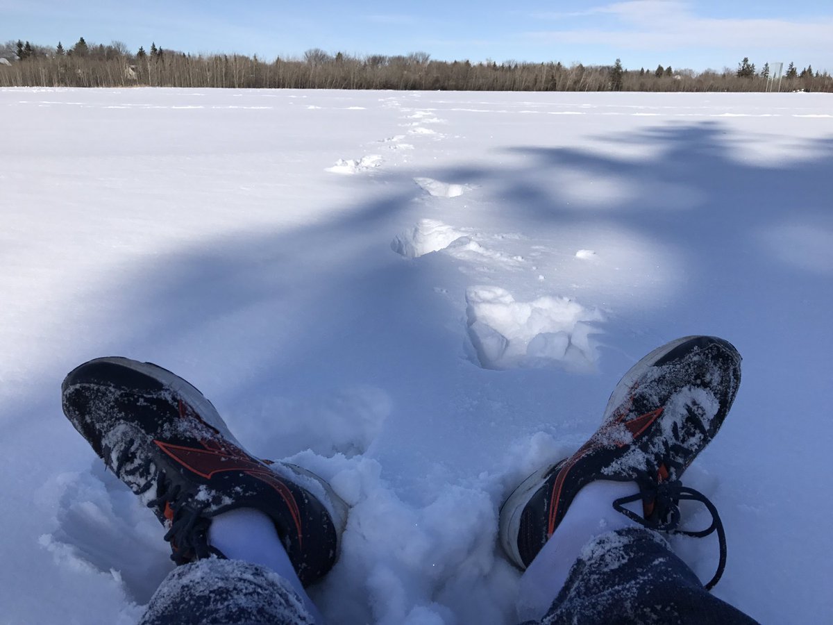 EdmondChuiHW's tweet photo. Here is me freezing my feet off cuz I insisted on trudging thru snow. #DesiredPath #GoatPath #ShortestPath #yegbike #yegwalk @newfangl3d https://t.co/gEJTwU0Uae