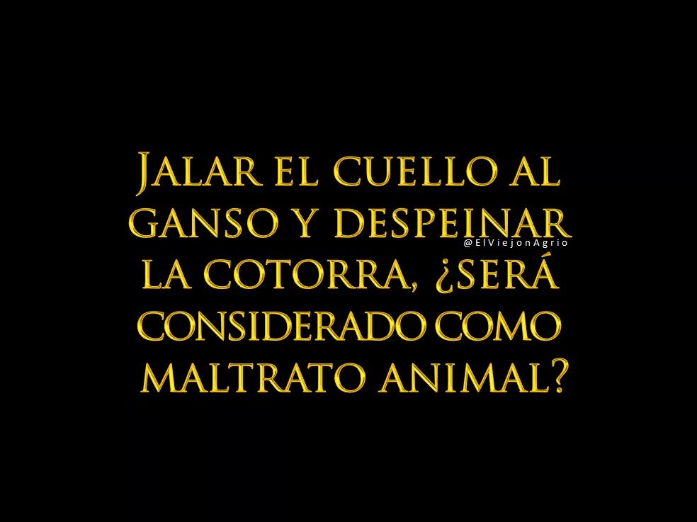 jenny5_karen's tweet photo. #ElDiaDeHoyTeConfieso que ,#SanValentinEsPara ...
#FelizSabado #AlgoMasOscuro #SabadoDeGanarSiguidores
#NoAlMaltratoAnimal https://t.co/rniAS9lEFJ