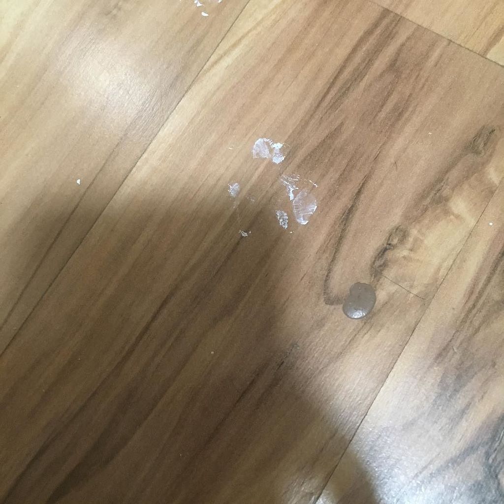 1daPC's tweet photo. paw prints and there's a small trail of them #painting #theyhelp https://t.co/82Zedz2sEP https://t.co/VXZ9QI4AT8