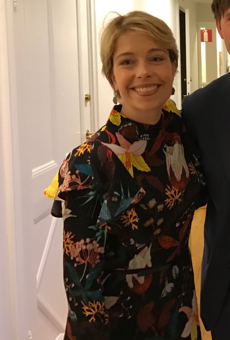 strandhall's tweet photo. En klänning att tävla i Melodifestivalen med, eller gå på regeringssammanträde! #melfest https://t.co/VRvIpmpwzF