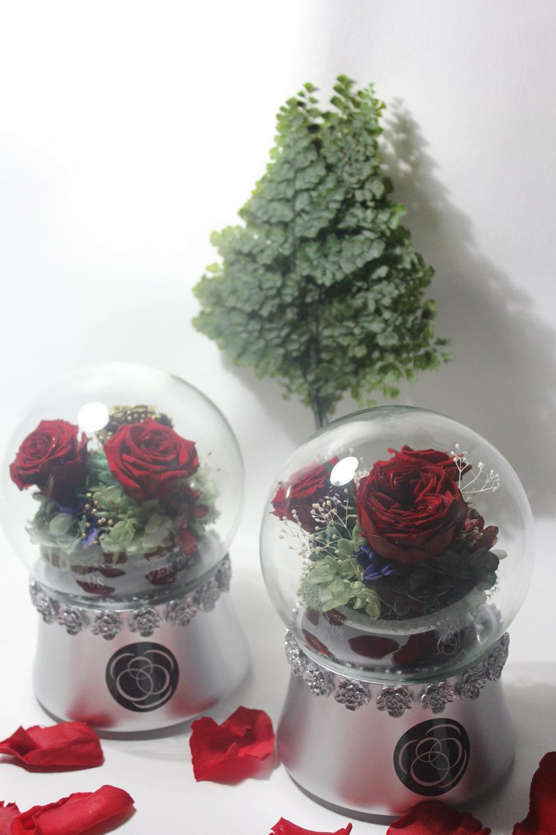 VerDecorUS's tweet photo. Music box lovely spring  #love #valentines #longlastingflower #rose #gardenroses #nyc #losangeles #california #pretty #gift #wealth #spring https://t.co/kudw9MsXiL