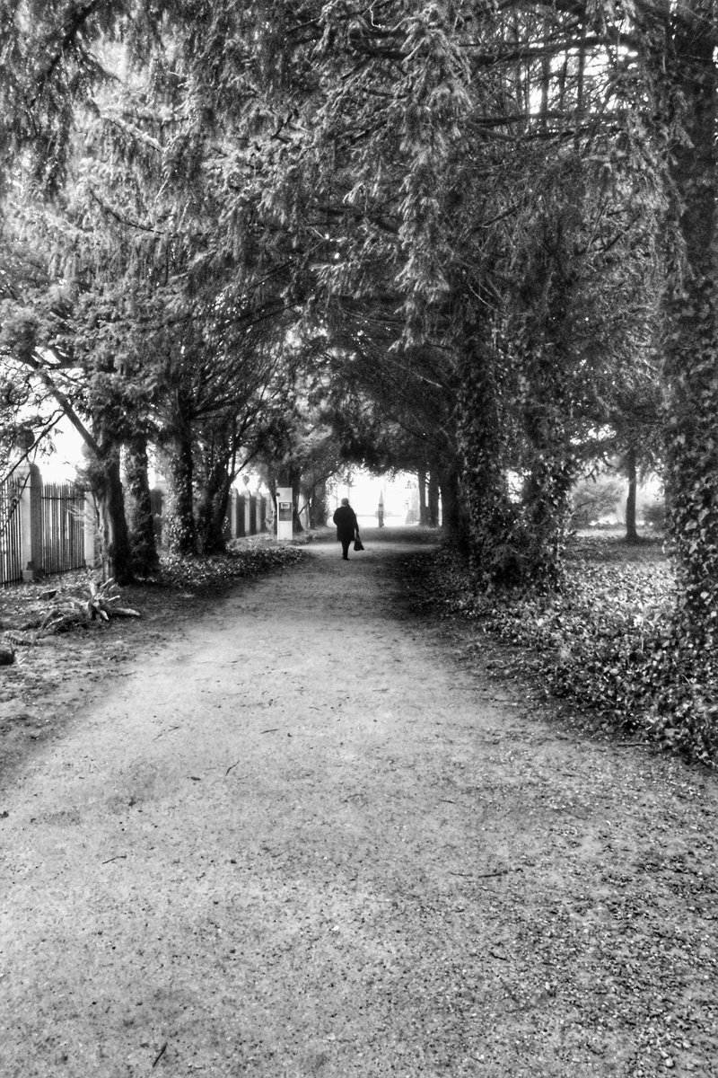 Foxygraphy's tweet photo. #photography #bnw #Fairy https://t.co/UqKXZ69pIp