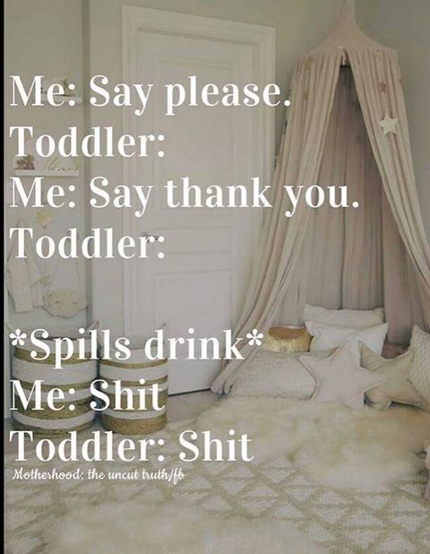 pregnantchicken's tweet photo. Yep. https://t.co/ysvh6NJIVx