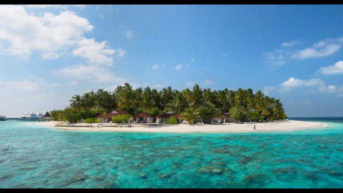 Kuonibluewater's tweet photo. #Offer4* All Inclusive Maldives from £1799pp!

Spend 7 nights on a unspoilt paradise Island 

Book by 16th February: https://t.co/pzwyYCxny9 https://t.co/NwKvkUmUbn