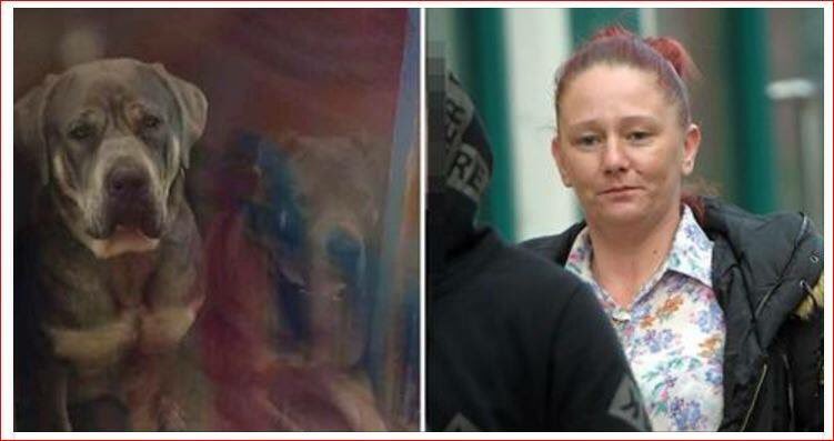 _PetAbuseUK's tweet photo. 'Mother' of 5,Leanne Fallow #Middlesbrough left pets with open weaping sores 5yr ban&amp;suspended sentence https://t.co/w20h6nYdbO https://t.co/dm7egwgFDm