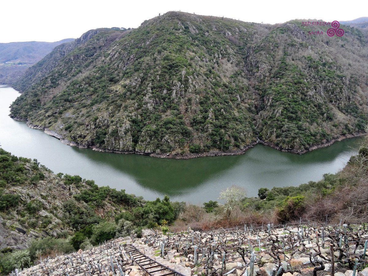 redribeirasacra's tweet photo. Qué maravilloso es  pasear por el paraiso @ribeirasacrado .@Marolas15 y https://t.co/IPbtQdu5Cn nos fuimos con @EtapaSacrata A Somoza. https://t.co/ZGWsFIL2I8