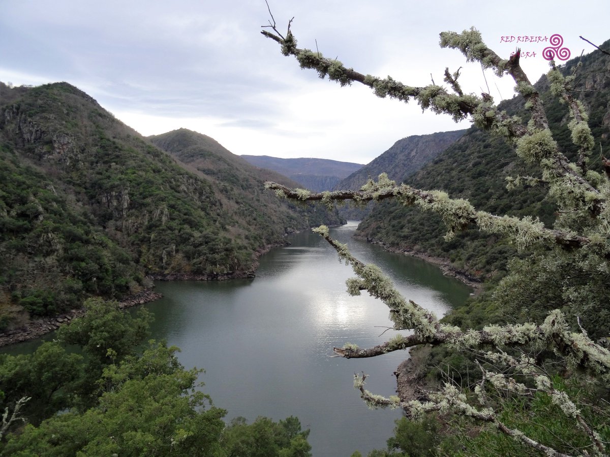 redribeirasacra's tweet photo. Qué maravilloso es  pasear por el paraiso @ribeirasacrado .@Marolas15 y https://t.co/IPbtQdu5Cn nos fuimos con @EtapaSacrata A Somoza. https://t.co/ZGWsFIL2I8