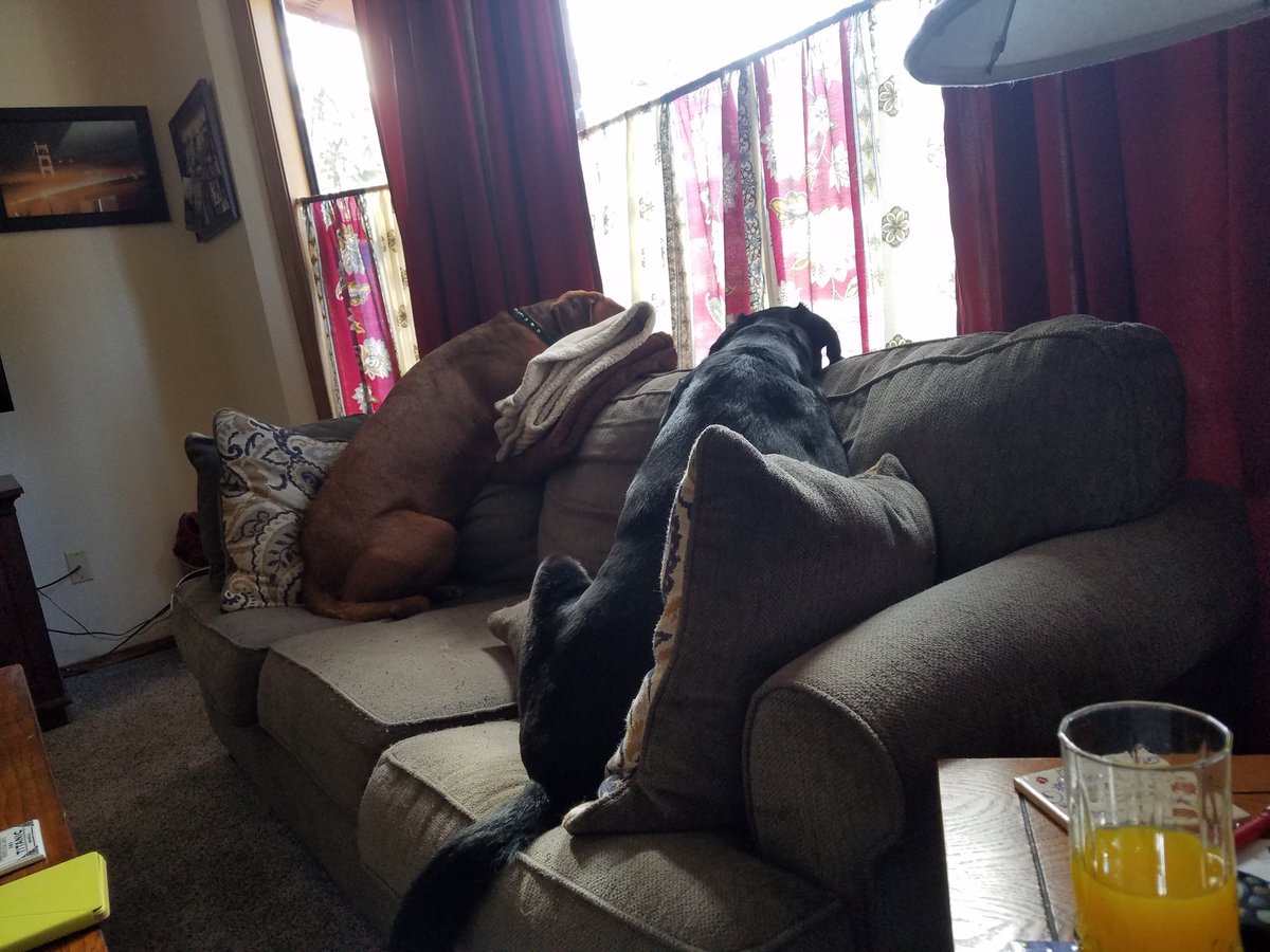 madrenellie's tweet photo. @rasm47 @AgitatedAmy
Waiting for gpa. #theyworry #theycry https://t.co/ib7Pt8wrRR