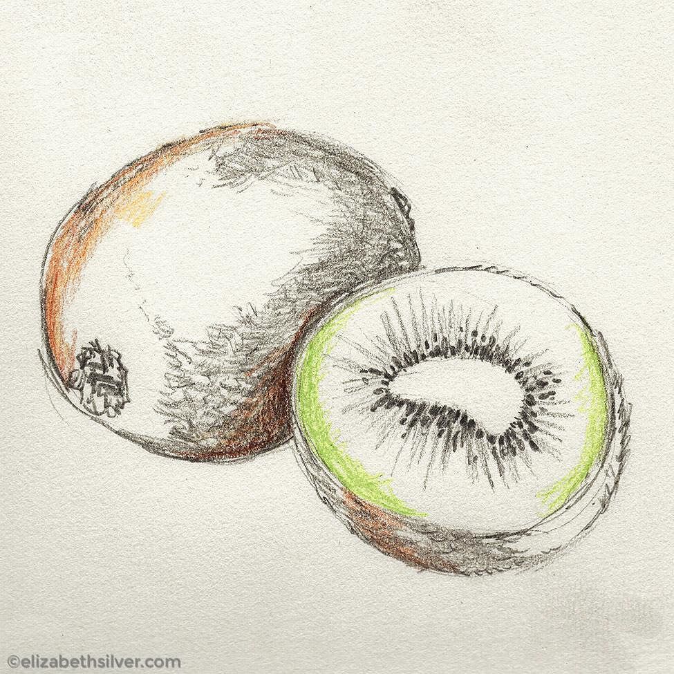esilverdesign's tweet photo. 32/100: Kiwi Sketch
#the100dayproject #100dayproject #100daysofFruit
#illo #illustration… https://t.co/EsGqZiF4s1 https://t.co/31kPmRaerV