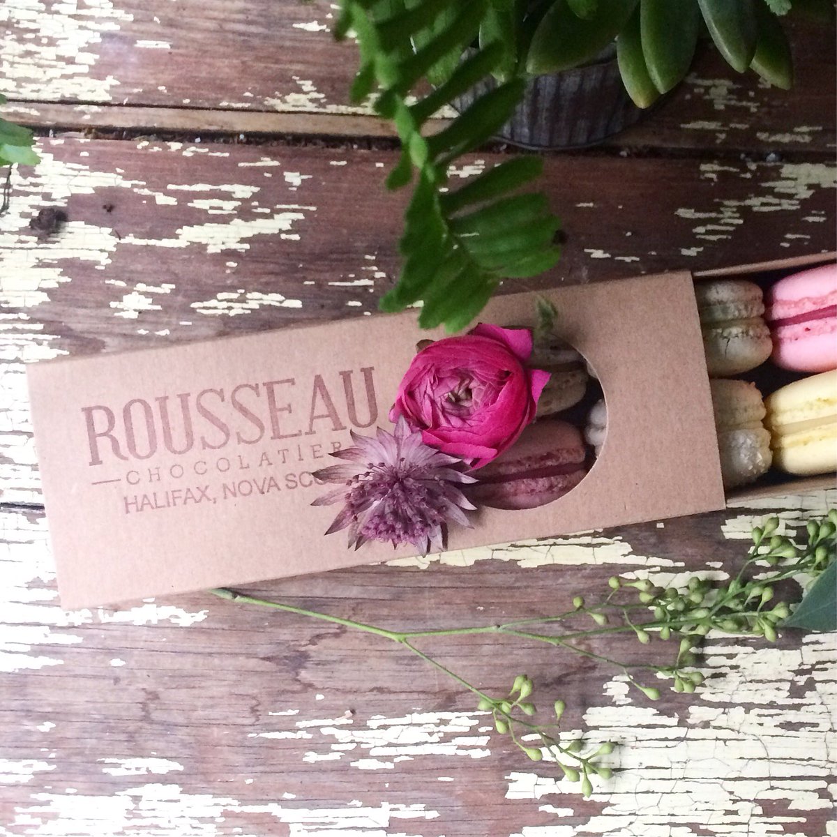 The Flower Shop tweet media