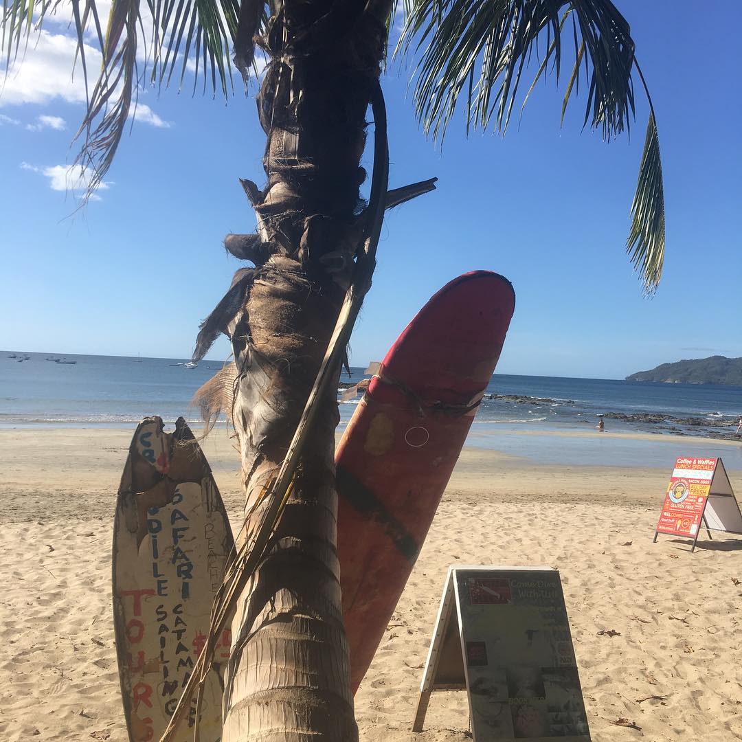 cheapcaribbean tweet picture