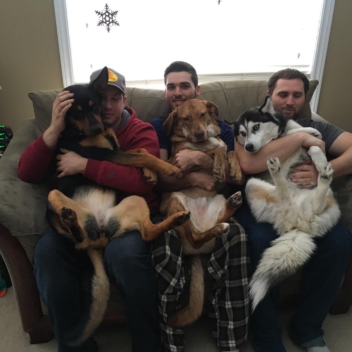 KennyJrLove's tweet photo. 6 mutts https://t.co/2subRsEDeg