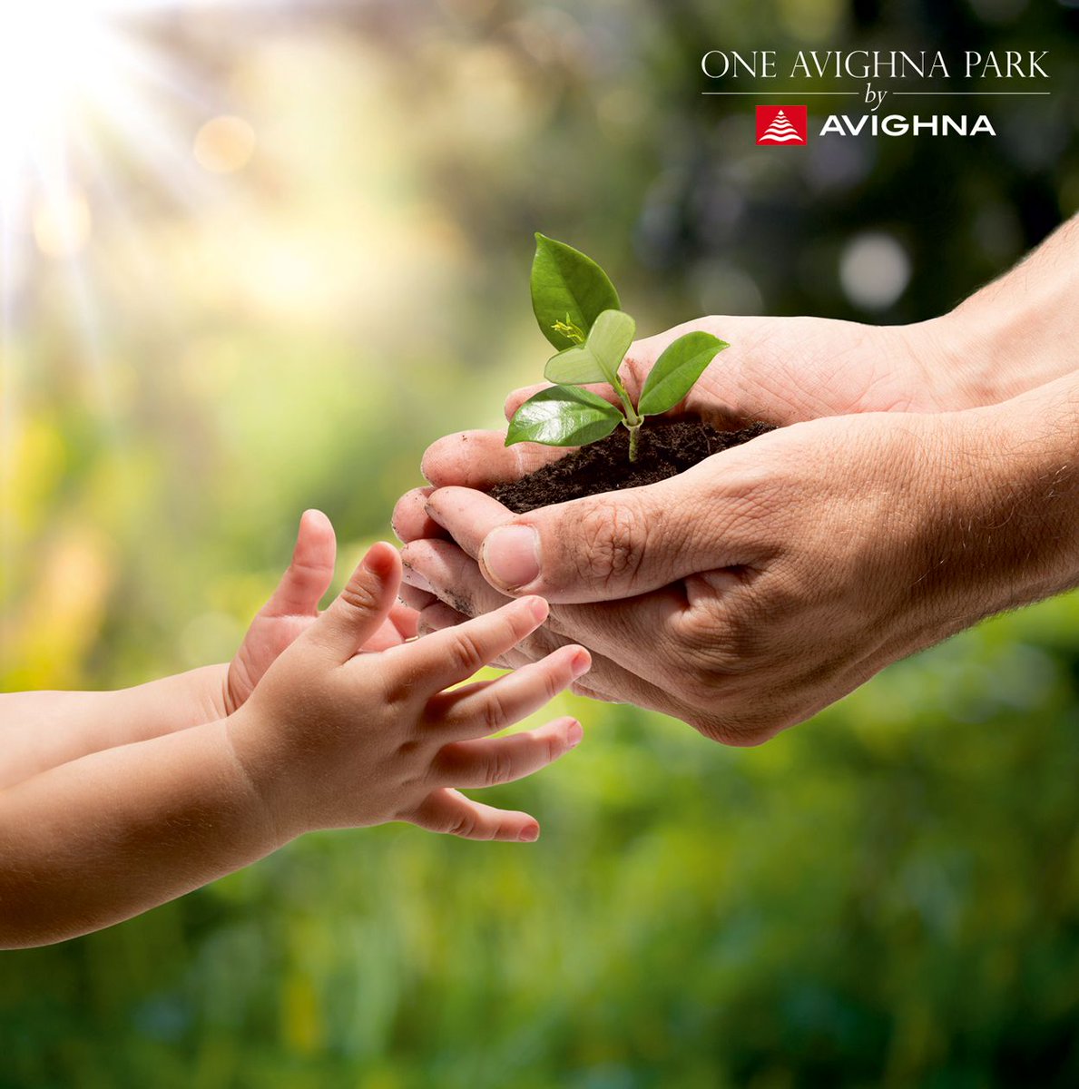 AvighnaIndiaLtd's tweet photo. Pass on the legacy of a sustainable way of living
@OneAvighnaPark, a life in harmony with nature
#greenbuilding #bestresidentialproject https://t.co/Bws3C2NOGs
