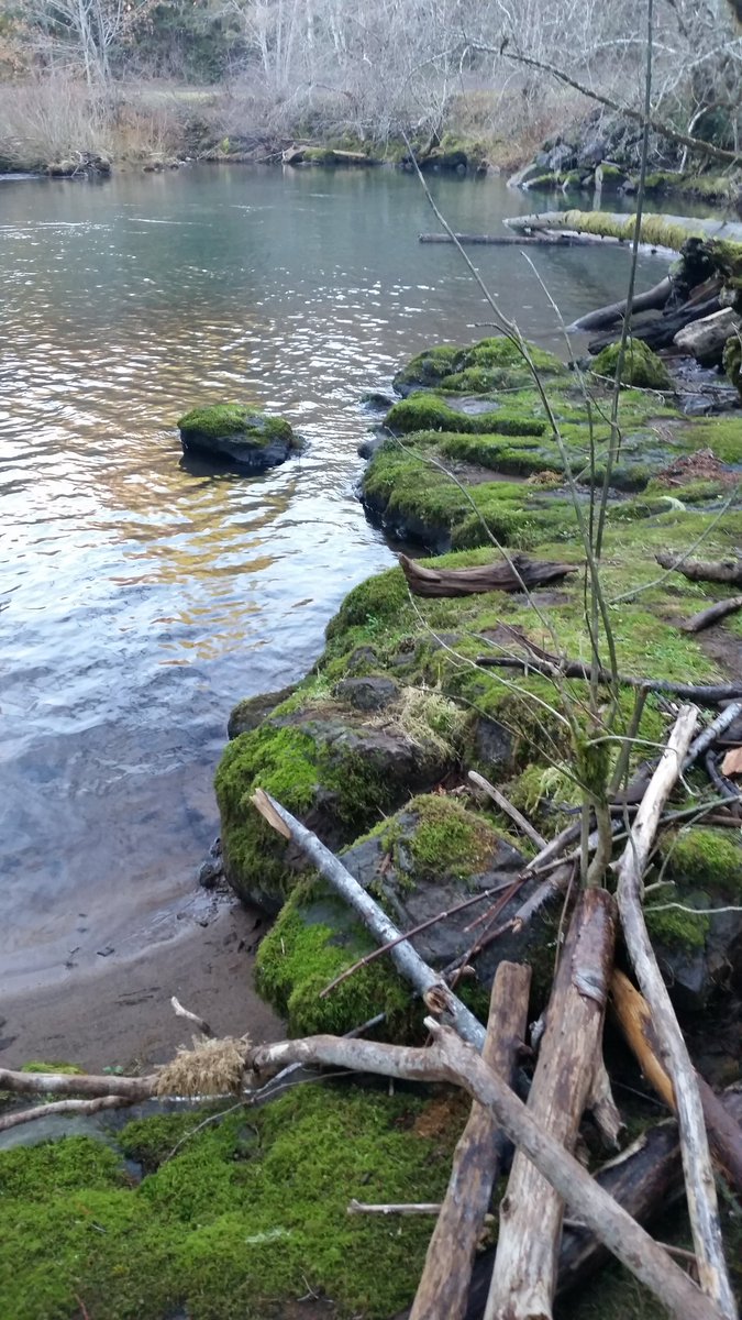 midnight_ruby94's tweet image. Down by the water,
Is where I like to be,
Alone by myself,
Happy and Free.