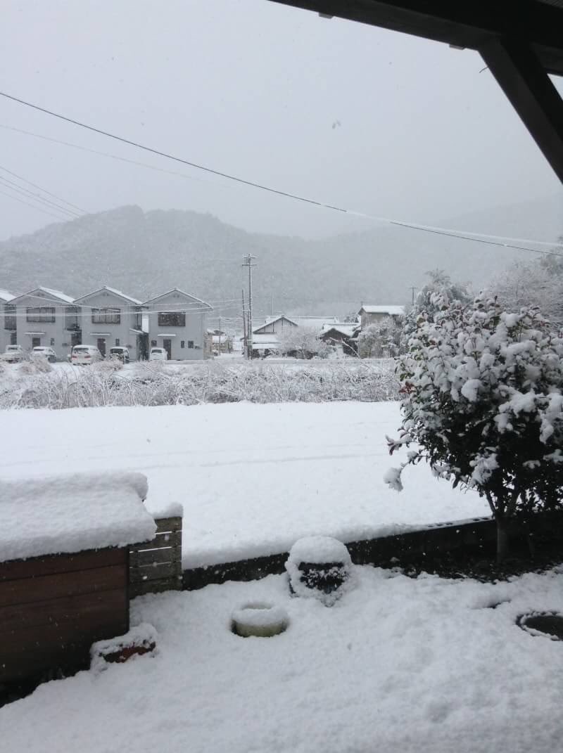 4A2b3c4d's tweet photo. かまくらつくるぜ昼から https://t.co/dZtKm8ciNE