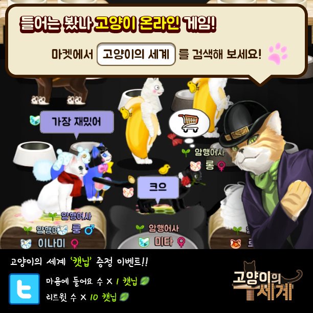 GVszttZIY9QtKQN's tweet photo. #고양이의세계 https://t.co/CgSjqrN80l