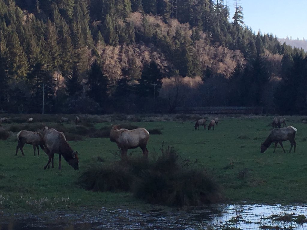 Great day of ecology economy research