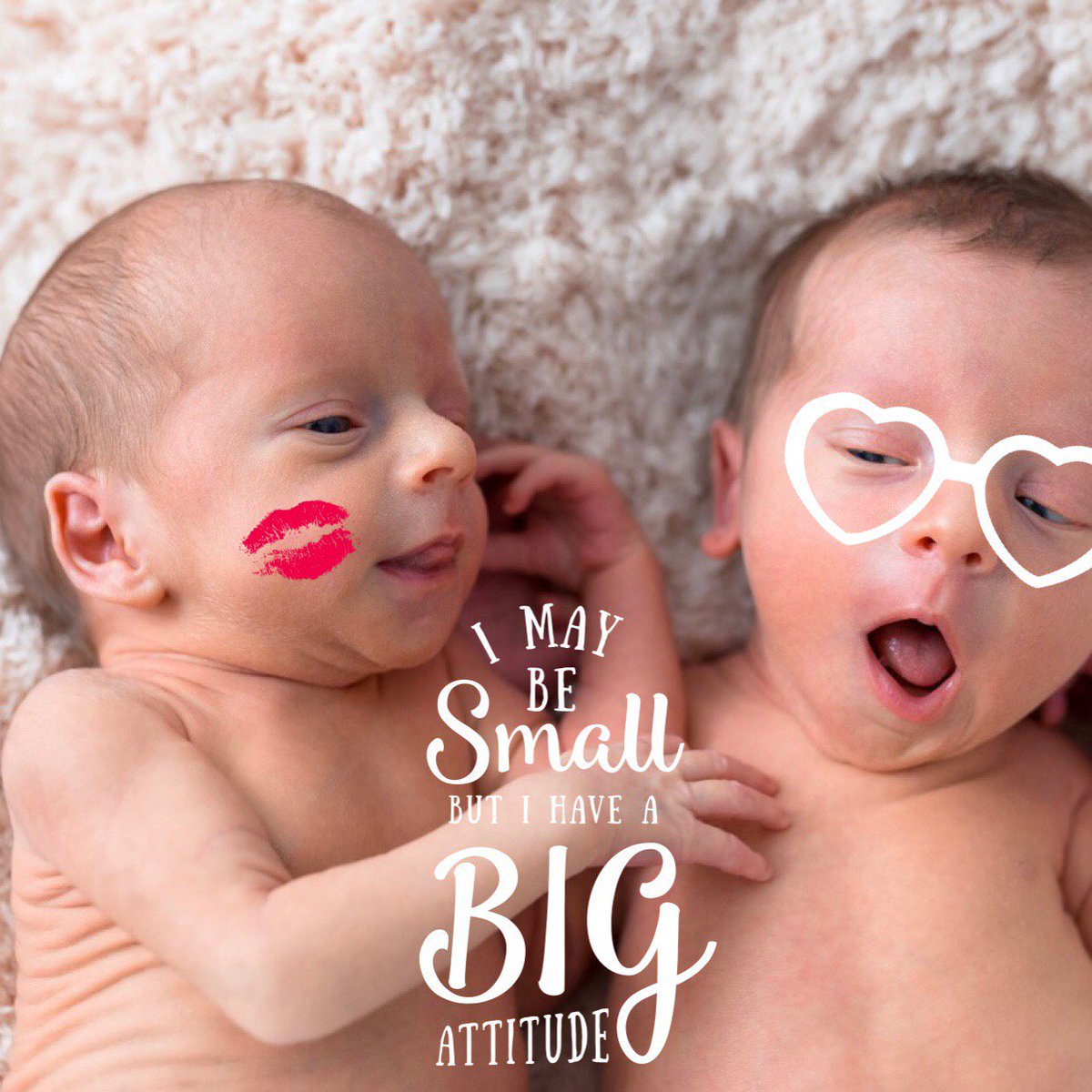 babypicsapp's tweet photo. I may be small but I have a big attitude #PremmieProud #PreemieProud #valentinesday Link to download #BabyPicsApp  👉 https://t.co/620QB2XQLw https://t.co/xgTlz3fHr1