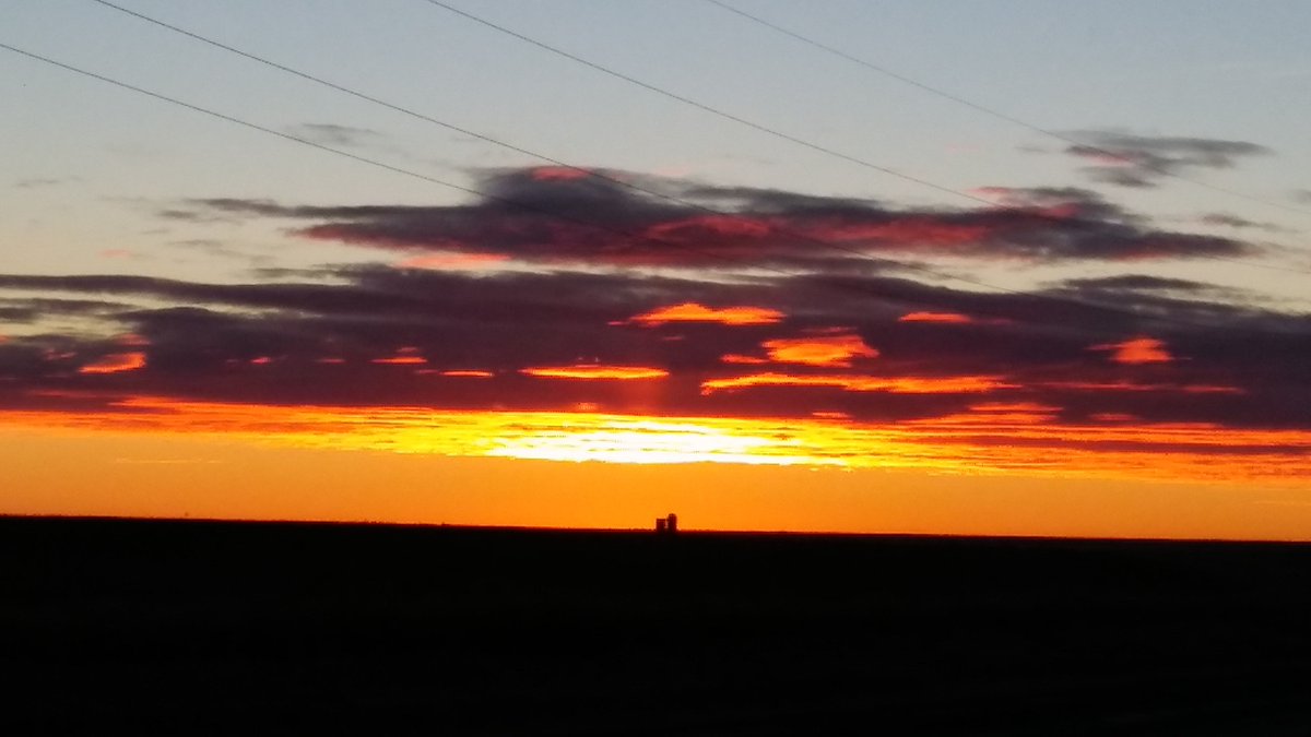 rick womble tweet media