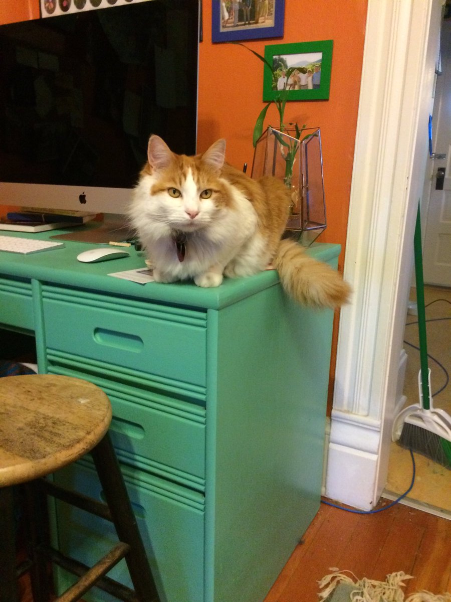 TheJuiceCat's tweet photo. DO NOT BE FOOLED. I AM THE WORST. #ALLTIMEWORST https://t.co/9jPA3qpYKt
