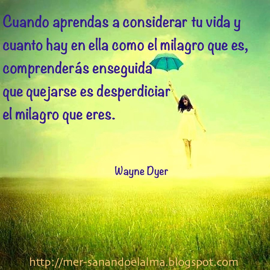 MerVivar's tweet image. 