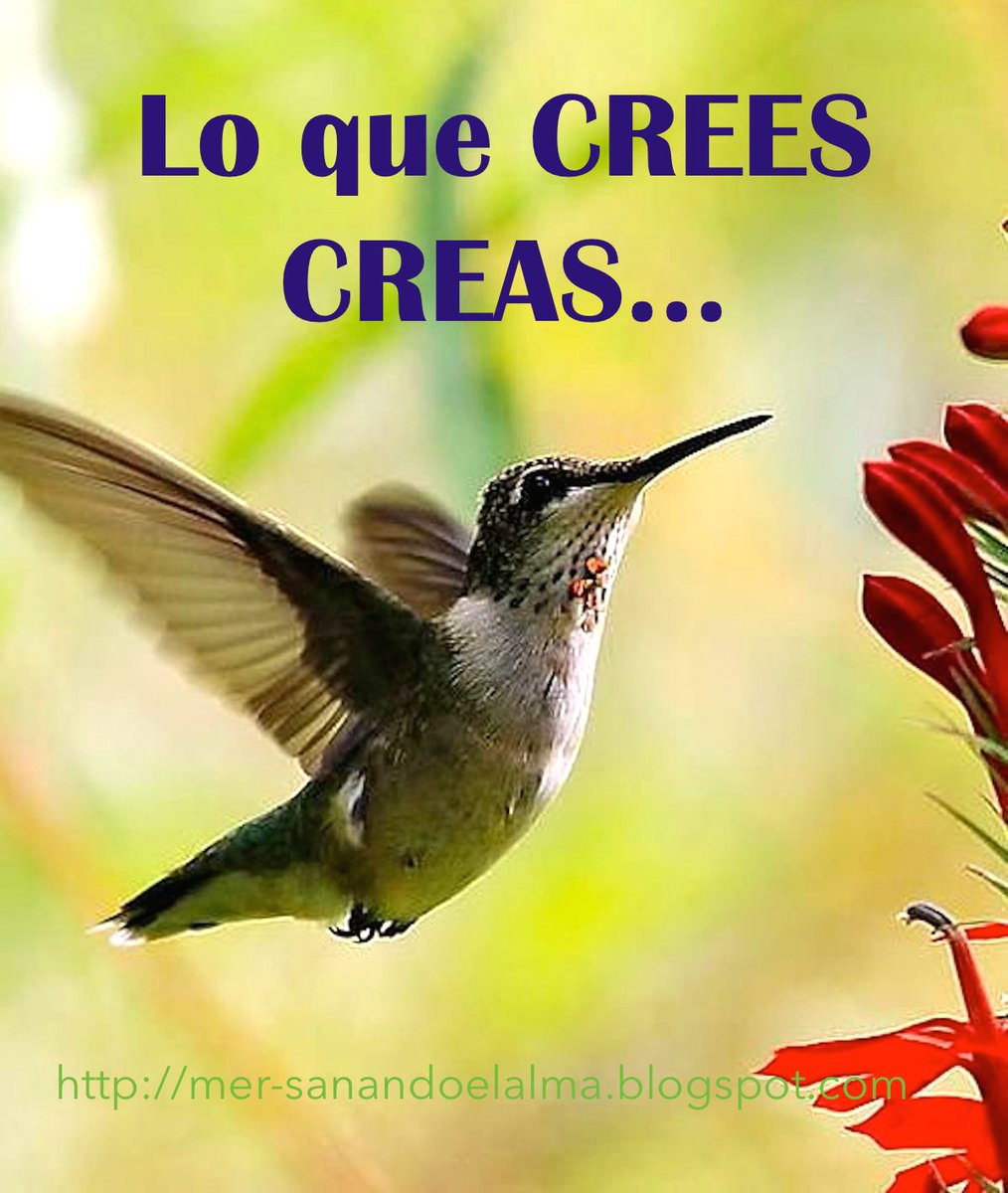 MerVivar's tweet image. 