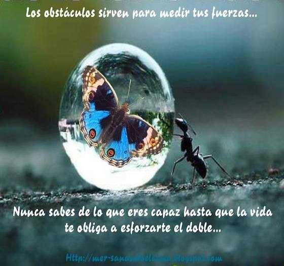 MerVivar's tweet image. 