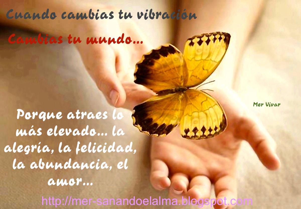 MerVivar's tweet image. 