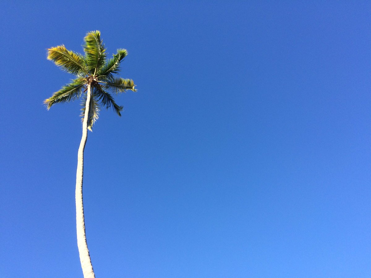 Not a cloud in the sky today. Stunning.
#bvi #britishvirginislands  #bvisecrets #beaches #Caribbean <a href="/BritishVirginIs/">British Virgin Is</a>