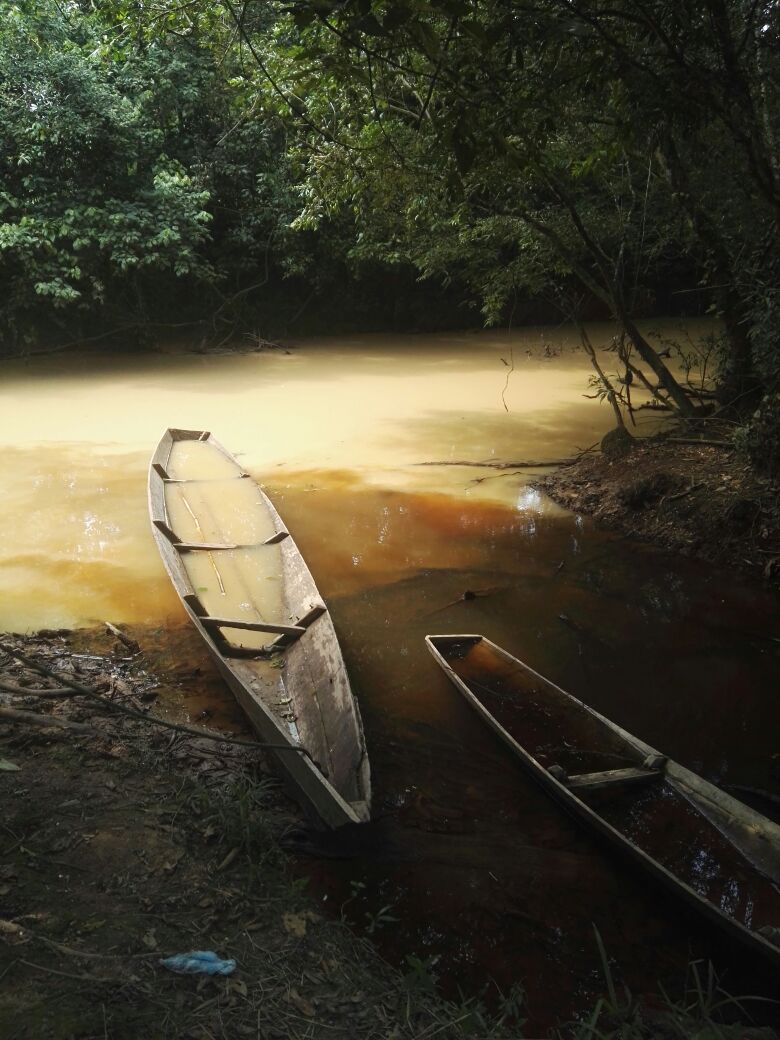 Rosiri_Narvaez's tweet photo. Estamos perdiendo nuestro rio Cocaya en el Putumayo... Ayudamos a salvarlo @JoseRaulVR https://t.co/yfwZOsM08j